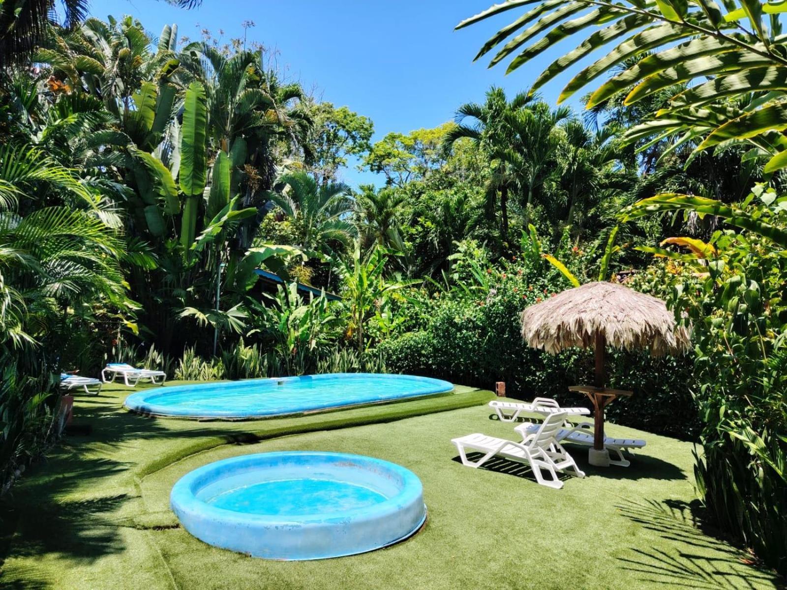 Luna Caribena Village Puerto Viejo de Talamanca Bagian luar foto